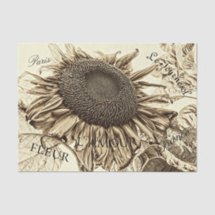Vintage Sonnenblume Sepia Tone Alte Skriptdekoupag Seidenpapier