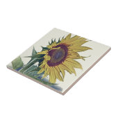 Vintage Sonnenblume-ursprünglicher schäbiger alte Fliese (Seite)