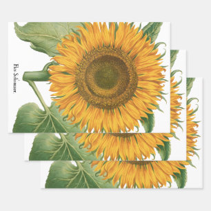Vintage-Sonnenblume von Basilius Besler Geschenkpapier Set