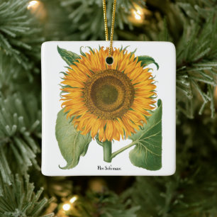 Vintage-Sonnenblume von Basilius Besler Keramikornament