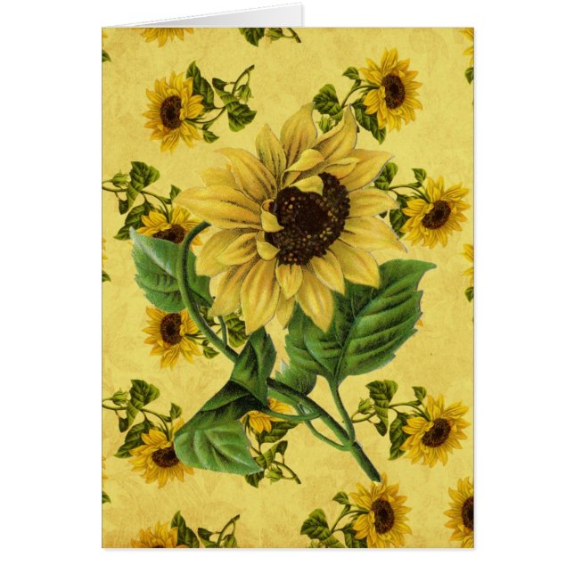 Vintage Sonnenblumen (Vorne)