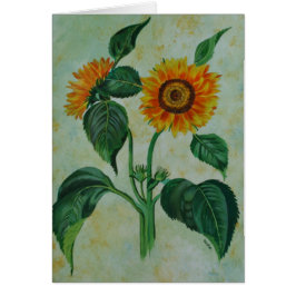 Vintage Sonnenblumen Botanische Kunst