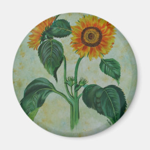 Vintage Sonnenblumen Botanische Kunst Magnet