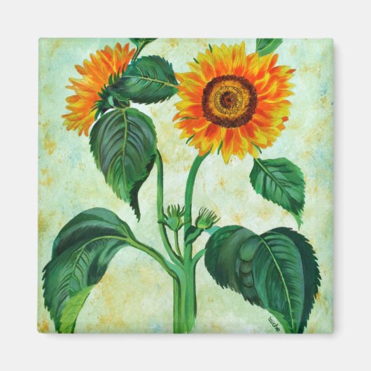 Vintage Sonnenblumen Botanische Kunst Magnet (Vorne)