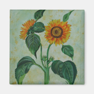 Vintage Sonnenblumen Botanische Kunst Magnet
