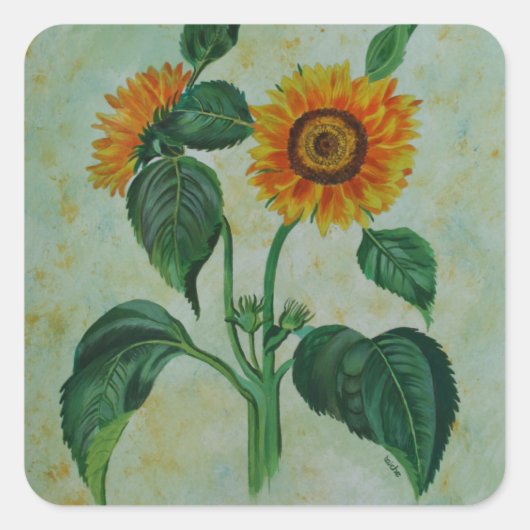 Vintage Sonnenblumen Botanische Kunst Quadratischer Aufkleber (Vorderseite)