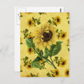 Vintage Sonnenblumen Postkarte (Vorne/Hinten)