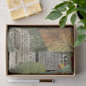 Vintage Sonnenblumenanzeigen Seidenpapier (Geschenk)