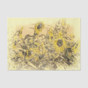 Vintage-Sonnenblumenfeld-gelb-verwischt-Vignette Seidenpapier