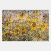 Vintage Sonnenblumenfelgelbe Grunge Textur Geschenkpapier Set (Vorderseite 2)