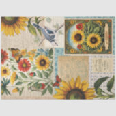 Vintage Sonnenblumengewächse Seidenpapier (Vorderseite)