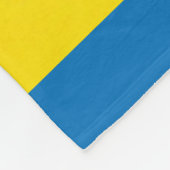 Vintage South Carolina Map Postcard Fleecedecke (Ecke)