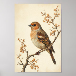 Vintage Spatzen Cottagecore Vogel Wandkunst Poster