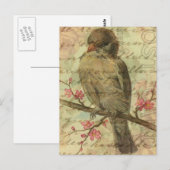 Vintage Sperling Postkarte (Vorne/Hinten)