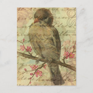 Vintage Sperling Postkarte