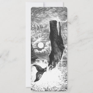 Vintage Spermienwale, Meerestiere