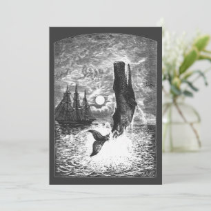 Vintage Spermienwale, Meerestiere