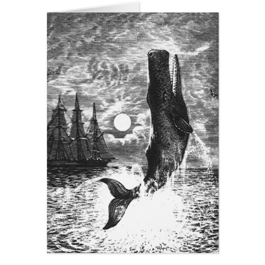 Vintage Spermienwale, Meerestiere (Vorne)