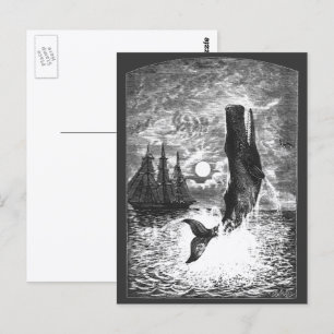 Vintage Spermienwale, Meerestiere Postkarte