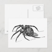 Vintage Spider Illustration Spiders Template für d Postkarte (Vorne/Hinten)