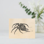 Vintage Spider Illustration Spiders Template für d Postkarte (Stehend Vorderseite)