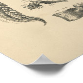 Vintage Spinalanatomie 1880 Druck Poster (Ecke)