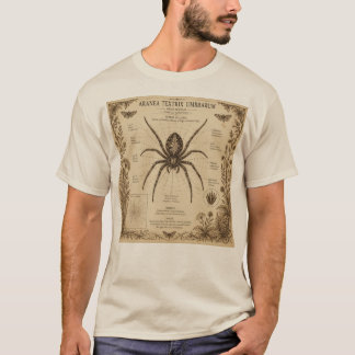 Vintage Spinne Anatomie T-Shirt