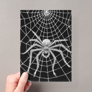 Vintage Spinne, die ein Netz spinnt Acryleinladungen
