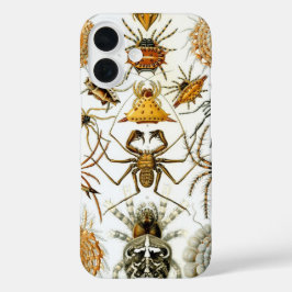 Vintage Spinnen oder Arachniden von Ernst Haeckel iPhone 16 Hülle