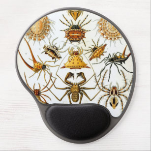 Vintage Spinnen oder Arachniden von Ernst Haeckel Gel Mousepad
