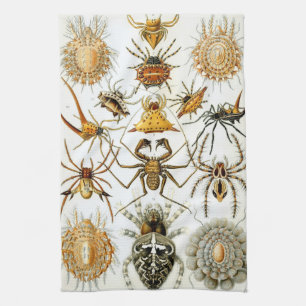 Vintage Spinnen oder Arachniden von Ernst Haeckel Geschirrtuch
