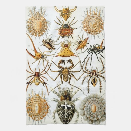 Vintage Spinnen oder Arachniden von Ernst Haeckel Geschirrtuch (Vertikal)