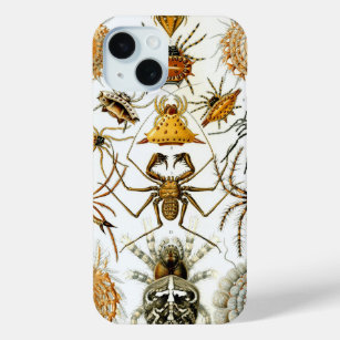 Vintage Spinnen oder Arachniden von Ernst Haeckel iPhone 15 Hülle