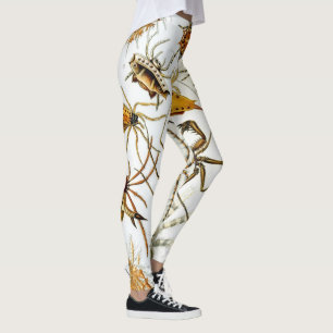 Vintage Spinnen oder Arachniden von Ernst Haeckel Leggings