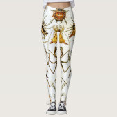 Vintage Spinnen oder Arachniden von Ernst Haeckel Leggings (Vorderseite)