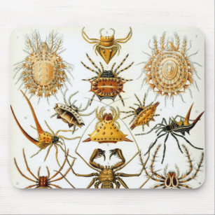 Vintage Spinnen oder Arachniden von Ernst Haeckel Mousepad