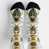 Vintage Spinnen oder Arachniden von Ernst Haeckel Socken (Oben)