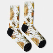 Vintage Spinnen oder Arachniden von Ernst Haeckel Socken (Rechts)