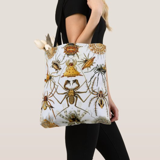 Vintage Spinnen oder Arachniden von Ernst Haeckel Tasche (Von Nahem)