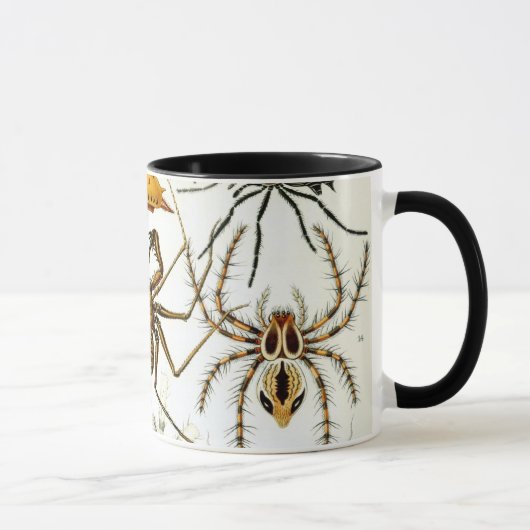 Vintage Spinnen oder Arachniden von Ernst Haeckel Tasse (Rechts)