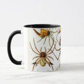 Vintage Spinnen oder Arachniden von Ernst Haeckel Tasse (Links)