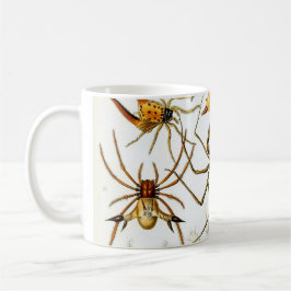 Vintage Spinnen oder Arachniden von Ernst Haeckel Tasse