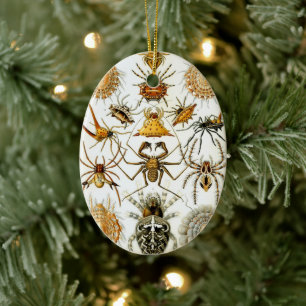 Vintage Spinnen oder Spinnentiere von Ernst Haecke Keramikornament