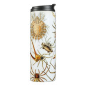 Vintage Spinnen oder Spinnentiere von Ernst Haecke Thermosbecher (Nach links gedreht)