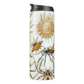 Vintage Spinnen oder Spinnentiere von Ernst Haecke Thermosbecher (Nach rechts gedreht)