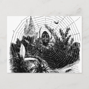 Vintage-Spinnennetz-Illustration aus dem 19. Jahrh Postkarte