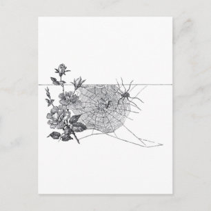 Vintage Spinnennetz und Rose Schwarz Weiß Postkarte