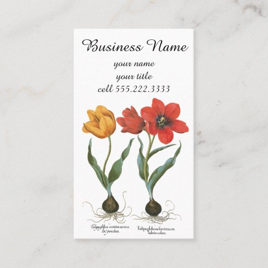 Vintage Spring Tulip Blume von Basilius Besler Visitenkarte (Vorderseite)