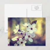 Vintage Springblossom Postkarte (Vorne/Hinten)