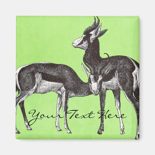 Vintage Springbok Magnete Magnet (Vorne)